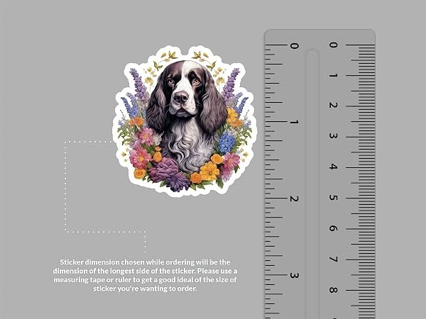 English-Springer-Spaniel-Sticker-B0D1TBMCHP-2