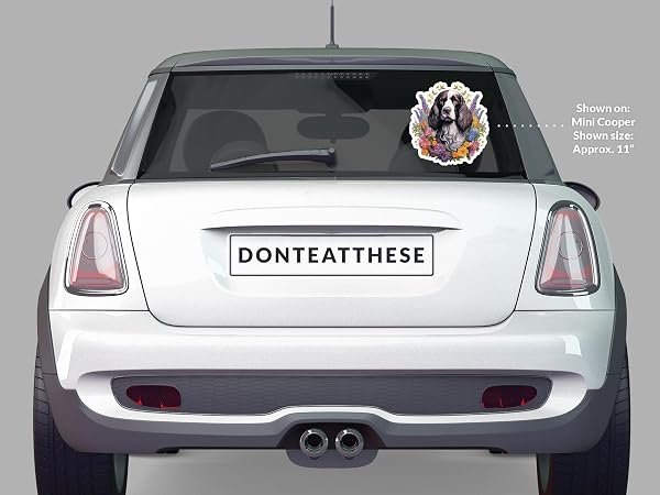English-Springer-Spaniel-Sticker-B0D1TBMCHP-5