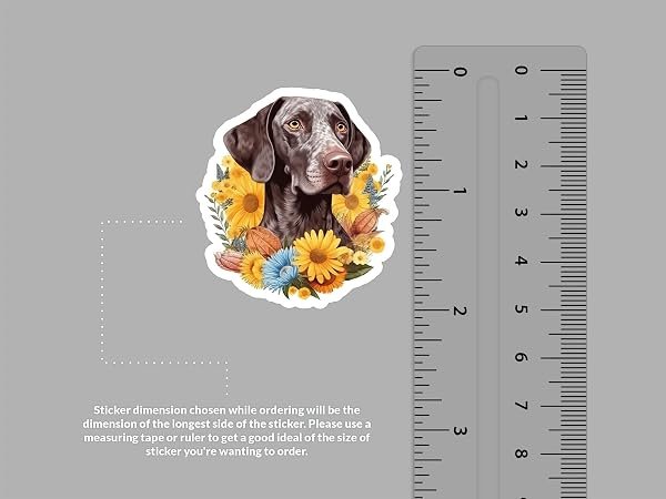 German-Shorthaired-Pointer-Dog-Sticker-B0D1T7QXGV-2