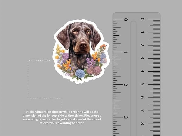 German-Wirehaired-Pointer-Dog-Sticker-B0D1TN99Z3-2