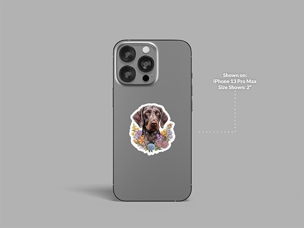German-Wirehaired-Pointer-Dog-Sticker-B0D1TN99Z3-3
