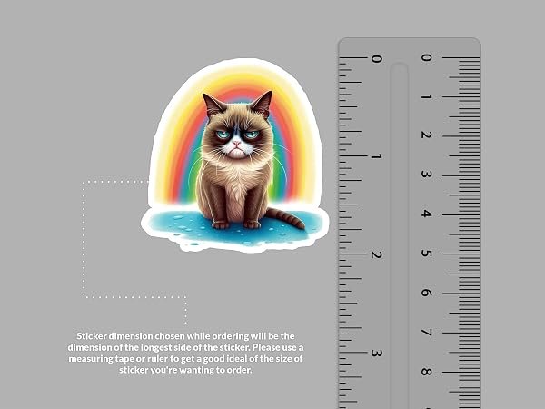 Grumpy-Cat-Sticker-B0D1SXB26F-2