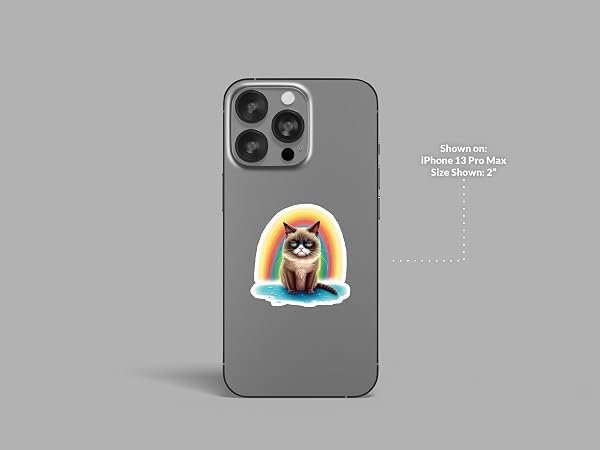 Grumpy-Cat-Sticker-B0D1SXB26F-3