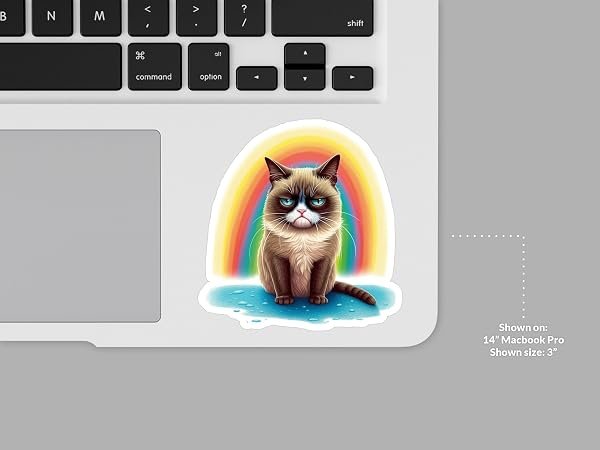 Grumpy-Cat-Sticker-B0D1SXB26F-7
