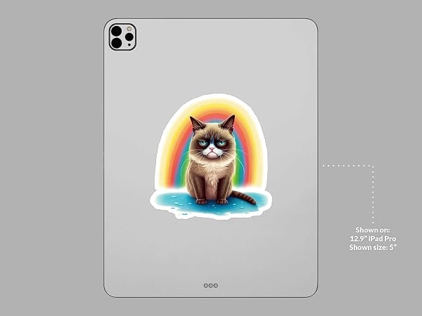 Grumpy-Cat-Sticker-B0D1SXB26F-8