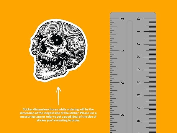 Hatch-Human-Skull-Sticker-B0D1TX7X82-2