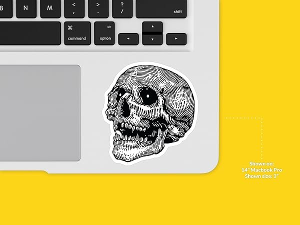 Hatch-Human-Skull-Sticker-B0D1TX7X82-5