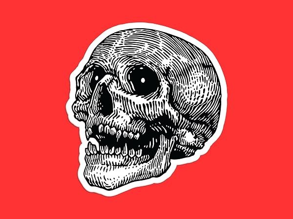 Hatch-Human-Skull-Sticker-B0D1TX7X82
