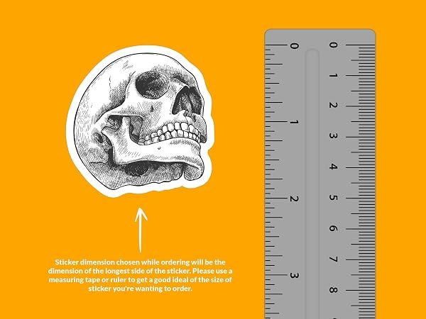 Human-Skull-Sticker-B0D1V3Y2JJ-2