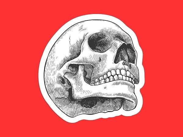 Human-Skull-Sticker-B0D1V3Y2JJ