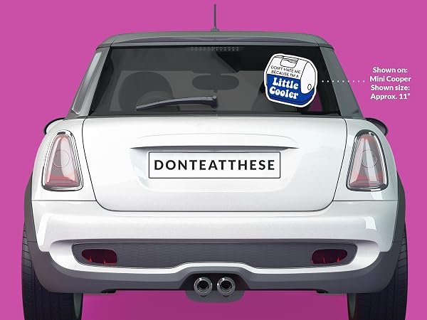 Im-a-Little-Cooler-Sticker-B0D1SY9RHX-5