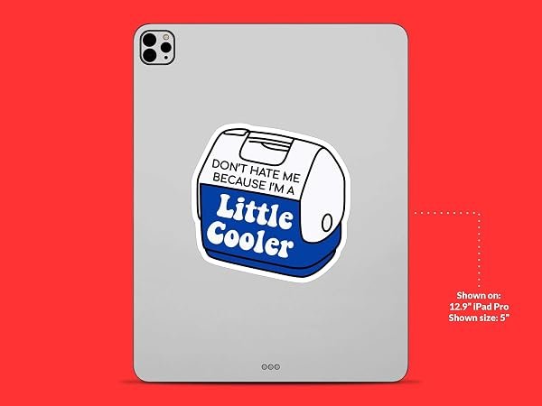 Im-a-Little-Cooler-Sticker-B0D1SY9RHX-8