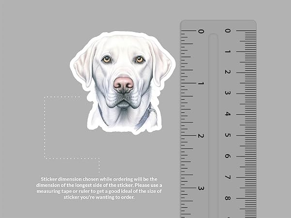 Labrador-Retriever-Dog-Sticker-B0D1V1SJTV-2