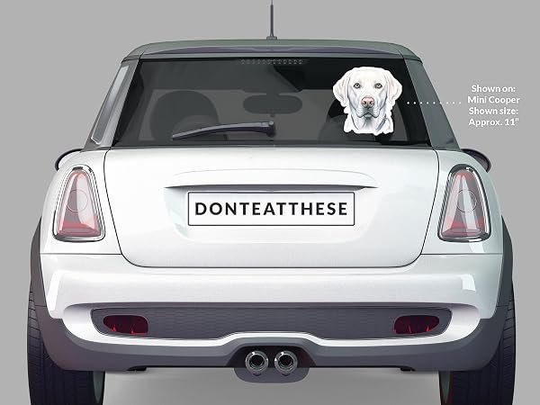 Labrador-Retriever-Dog-Sticker-B0D1V1SJTV-5