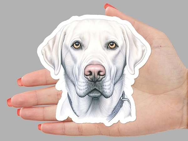Labrador-Retriever-Dog-Sticker-B0D1V1SJTV