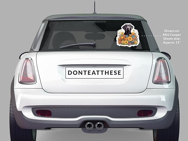 Labrador-Retriever-Sticker-B0D1SXZ7NY-5