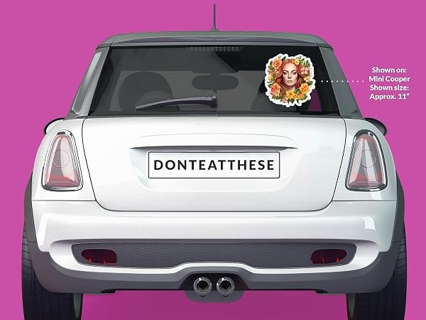Lindsay-Lohan-Sticker-B0D1T8FL3D-5