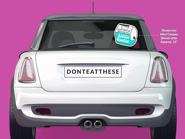 Little-Cooler-Sticker-B0D1TB7SX6-4