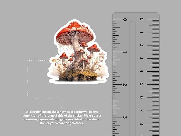Magic-Mushroom-Sticker-B0D1TLN11V-2