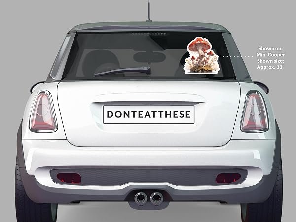 Magic-Mushroom-Sticker-B0D1TLN11V-5