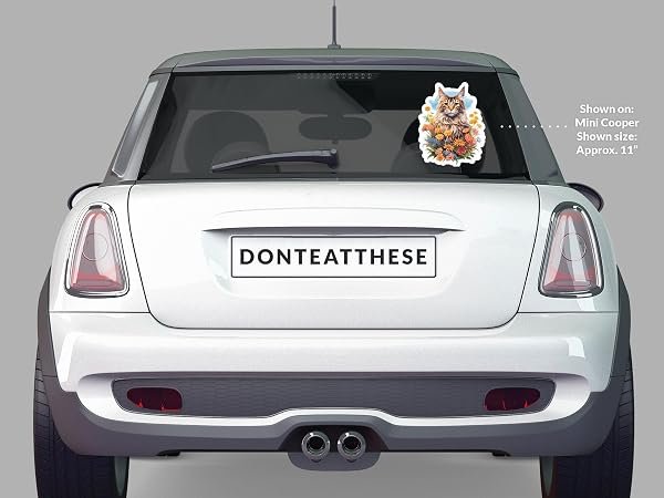 Maine-Coon-Cat-Sticker-B0D1T8Q1RX-5