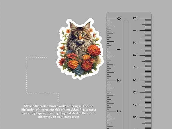 Maine-Coon-Cat-Sticker-B0D1TBN72J-2