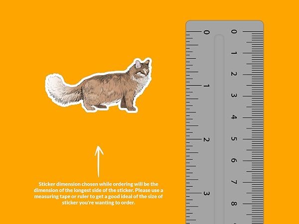 Maine-Coon-Cat-Sticker-B0D1V93NK9-2