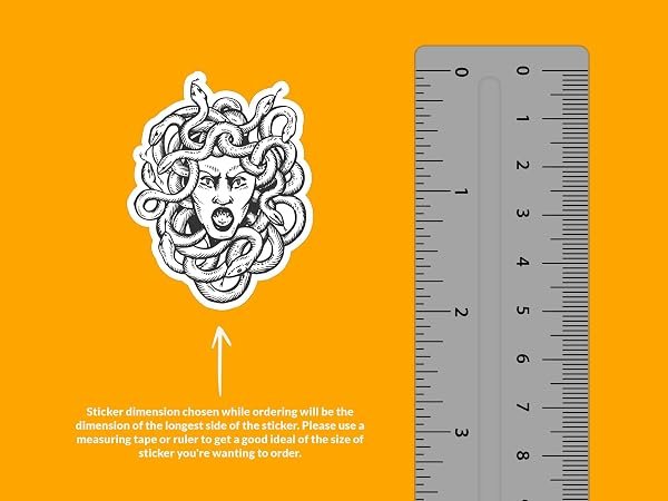 Medusa-Sticker-B0D1V47DQ8-2