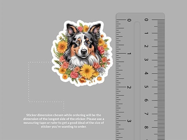 Miniature-American-Shepherd-Sticker-B0D1TD7YGQ-2