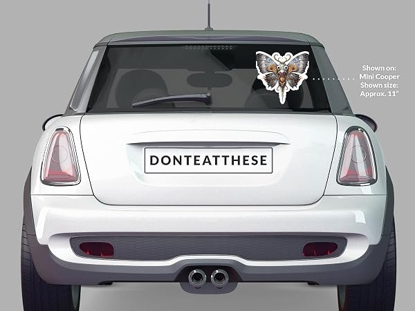 Moth-Sticker-B0D1ST1YGP-5