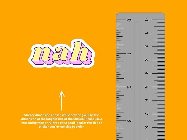 Nah-Sticker-B0D1TTXYNN-3