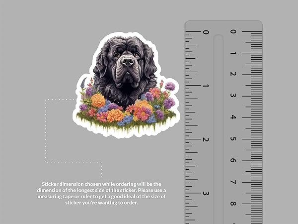 Newfoundland-Dog-Sticker-B0D1T2RGTC-2
