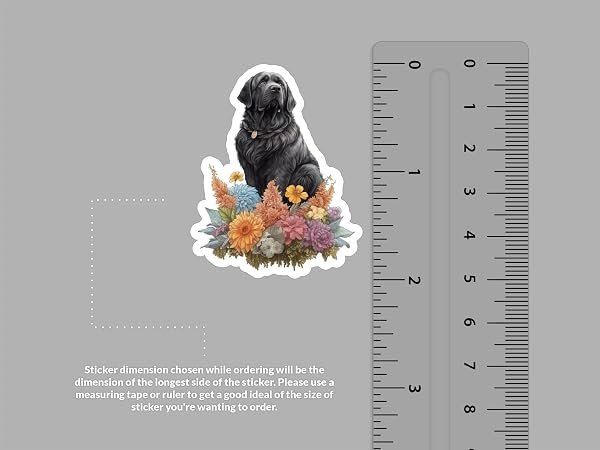 Newfoundland-Dog-Sticker-B0D1V47GHF-2