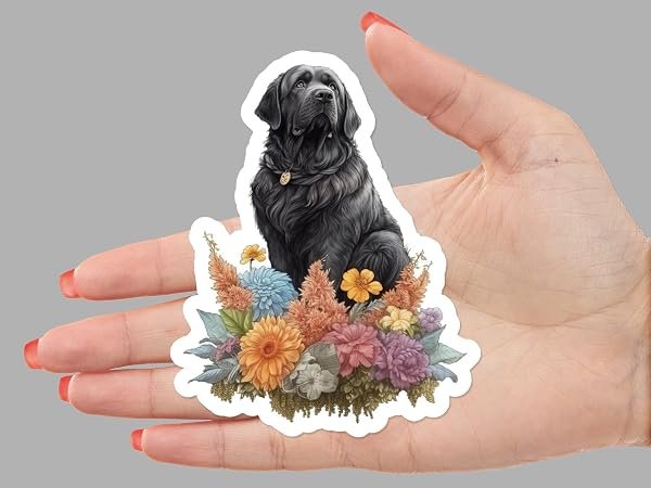 Newfoundland-Dog-Sticker-B0D1V47GHF