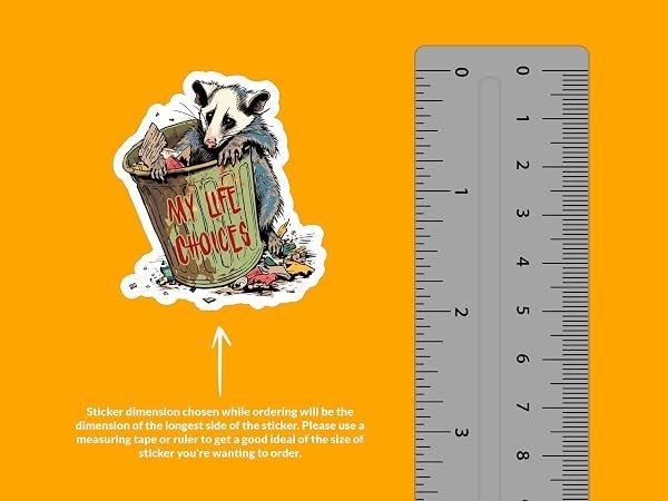 Opossum-Trash-Can-Sticker-B0D1TW7FYF-2