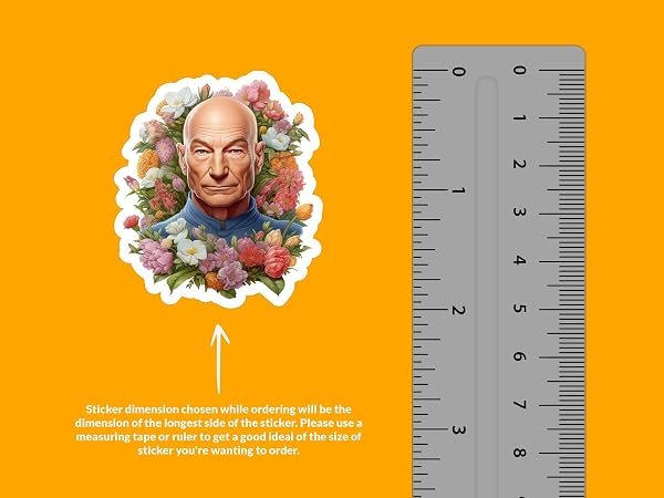 Patrick-Stewart-Sticker-B0D1TRZMS1-2