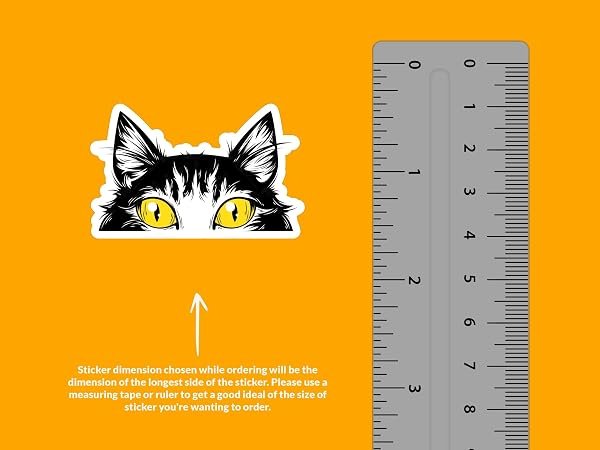 Peeking-Cat-Sticker-B0D1TX355M-2