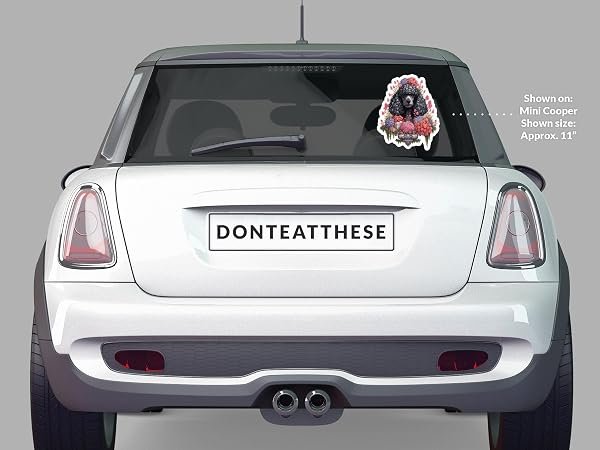 Poodle-Dog-Sticker-B0D1T3N6XZ-5