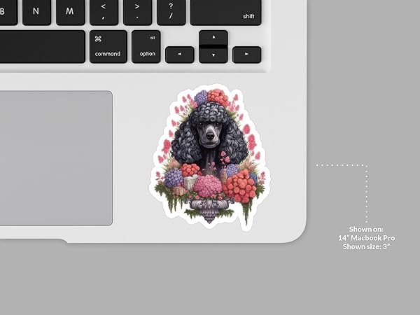 Poodle-Dog-Sticker-B0D1T3N6XZ-7
