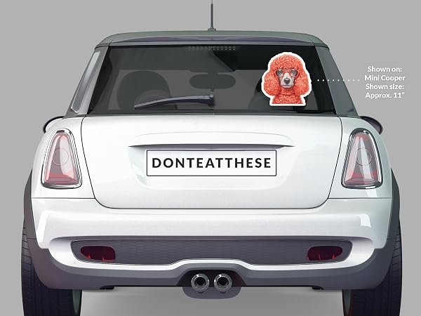 Poodle-wearing-glasses-Sticker-B0D1SZC5PP-5