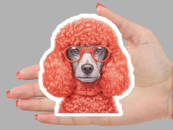 Poodle-wearing-glasses-Sticker-B0D1SZC5PP