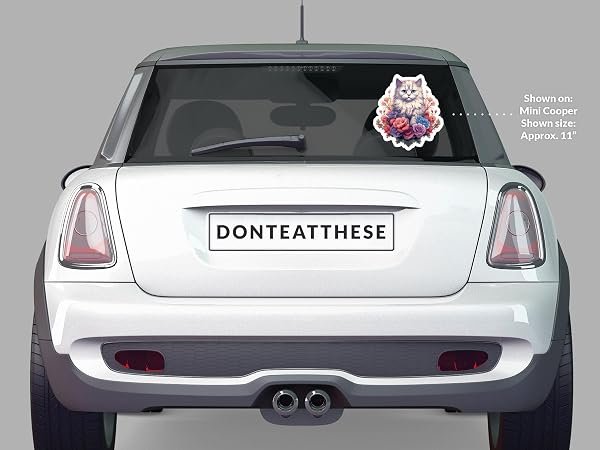 Ragamuffin-Cat-Sticker-B0D1THJRV7-5