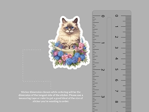 Ragdoll-Cat-Sticker-B0D1T1YD5H-2