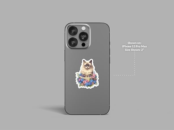 Ragdoll-Cat-Sticker-B0D1T1YD5H-3