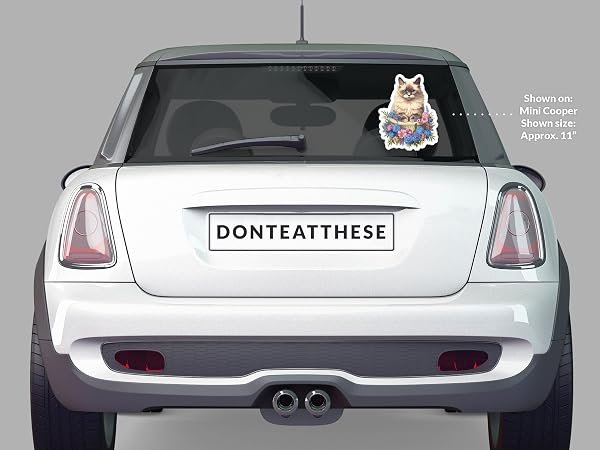 Ragdoll-Cat-Sticker-B0D1T1YD5H-5