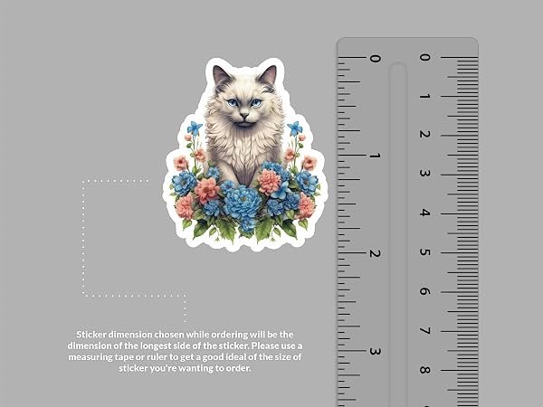 Ragdoll-Cat-Sticker-B0D1T5WRBY-2