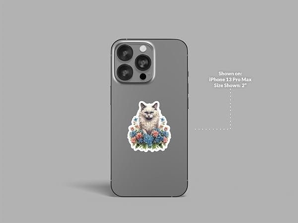 Ragdoll-Cat-Sticker-B0D1T5WRBY-3