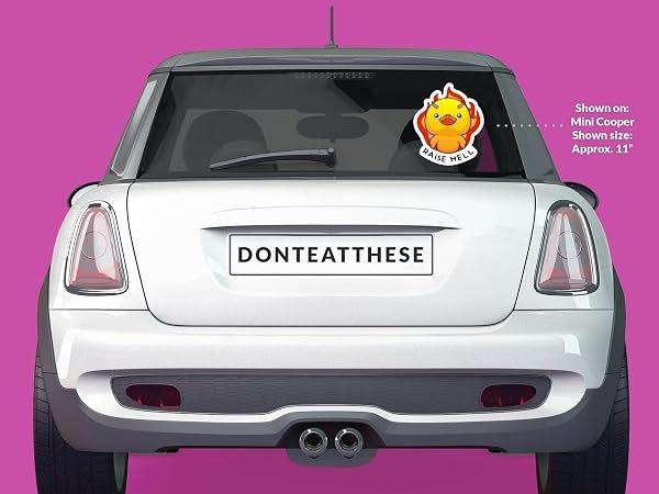 Raise-Hell-Duck-Sticker-B0D1V465TQ-5