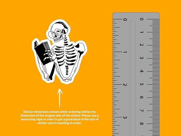 Reading-Skeleton-Sticker-B0D1V3YXLK-2