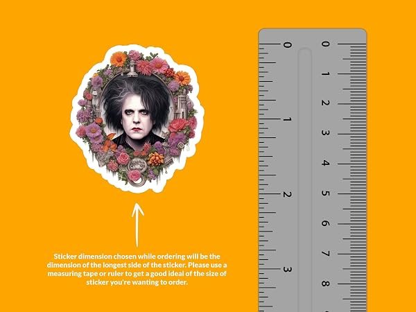 Robert-Smith-Sticker-B0D1SW7XZ4-2
